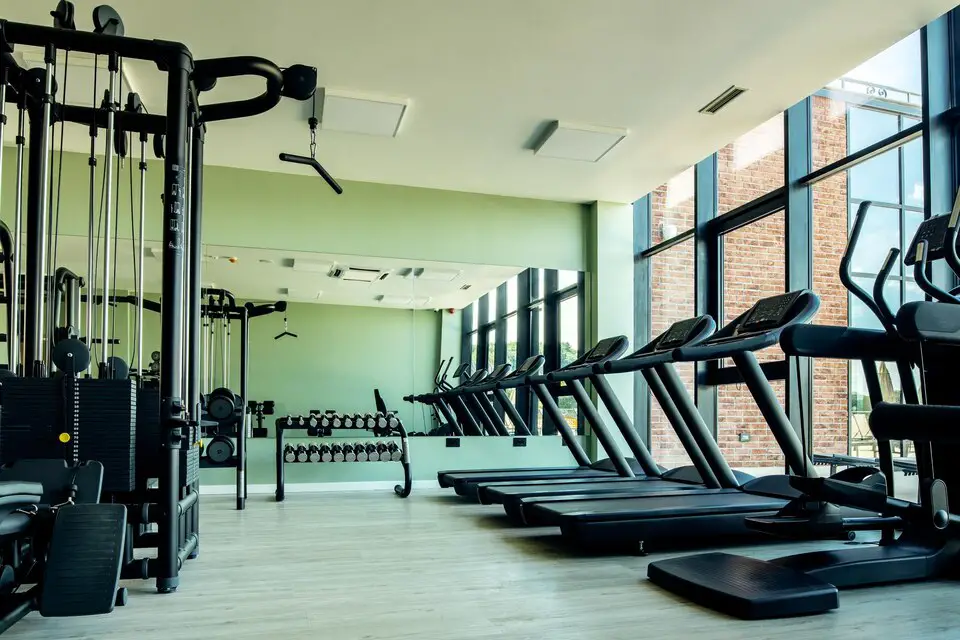Freepicdownloader.com Health Club Without People With Exercise Equipment Large