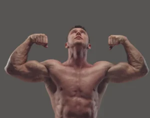 WHAT ARE THE LARGEST MUSCLES IN THE HUMAN BODY