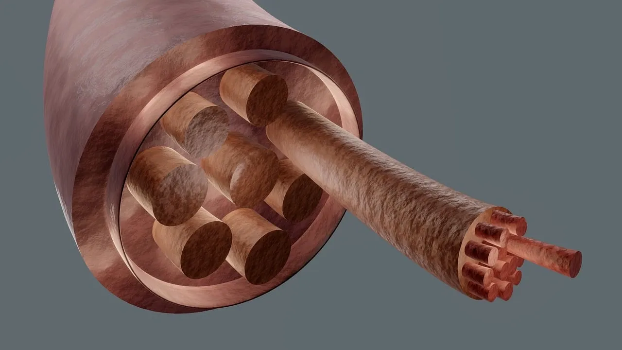 Cross-sectional 3D illustration of skeletal muscle showing fascicles and muscle fiber bundles in detail.